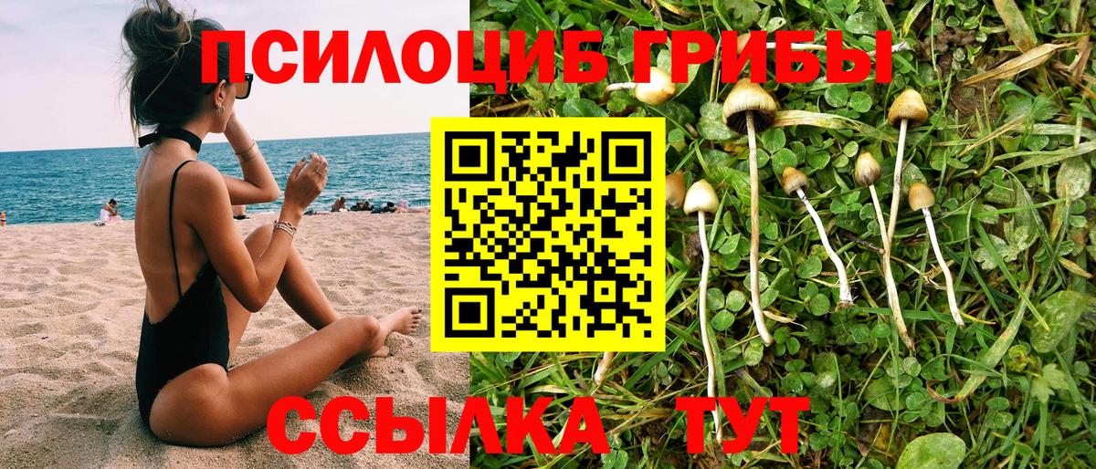 Псилоцибиновые грибы Magic Shrooms Ачинск